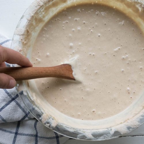 Wild Fermented Yeast, best for making authentic bread.